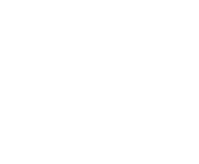 Evolution games at Turbo Wins Casino